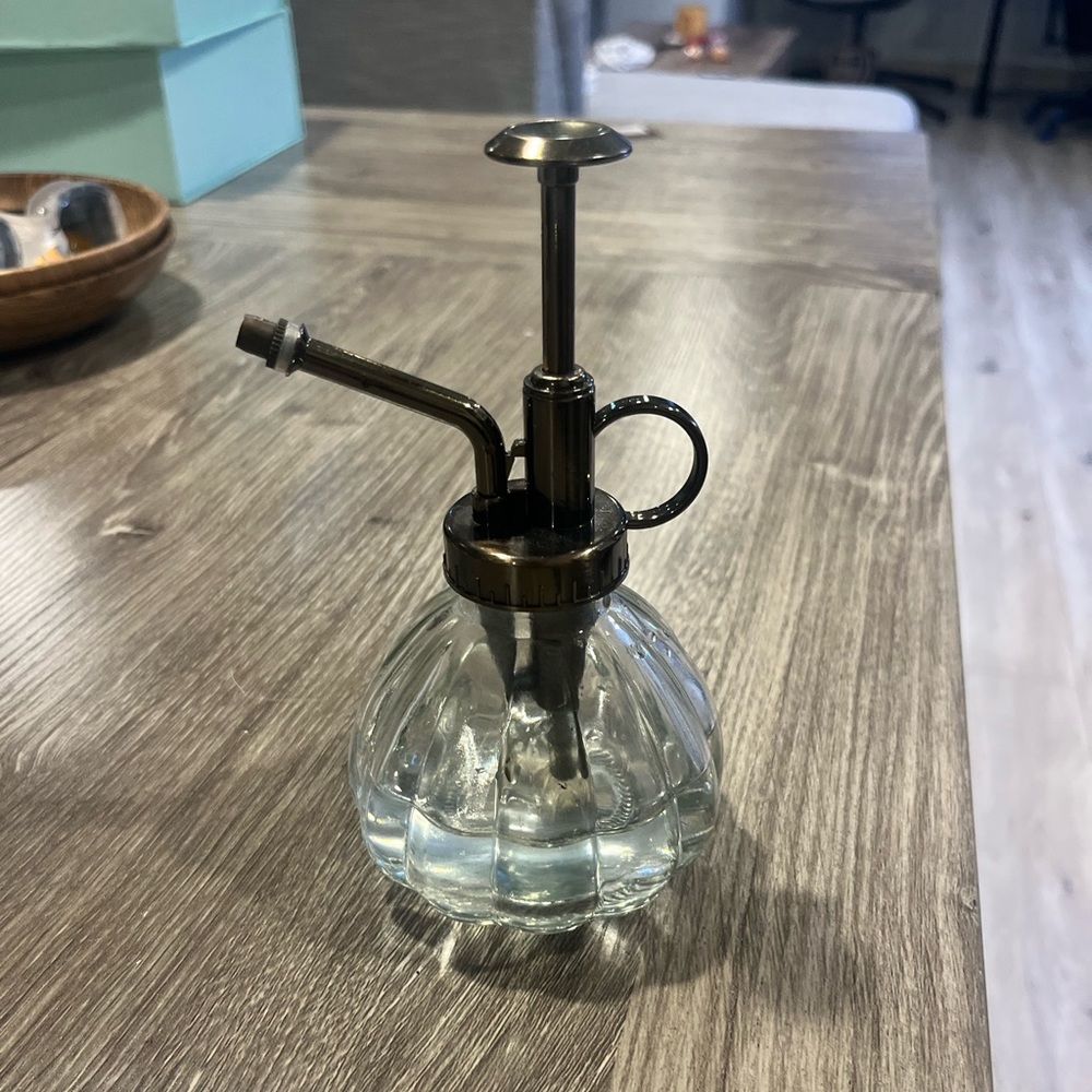 Clear Transparent Plant Spritzer